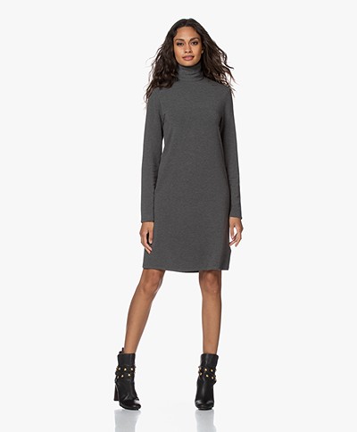 Majestic Filatures Sweater Dress with Turtleneck - Flanelle