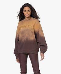 ANINE BING Harvey Crew Oversized Ombre Sweatshirt - Washed Faded Burgundy