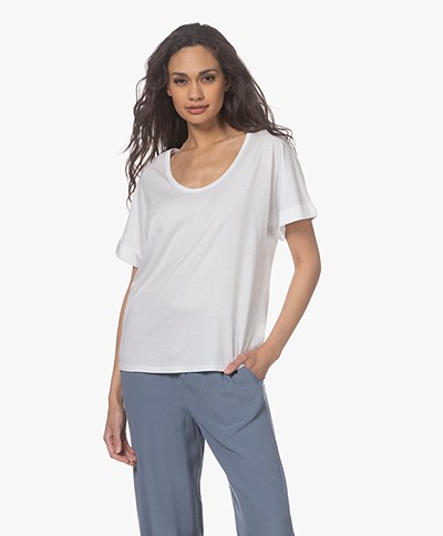 Josephine & Co Matheo Cotton Scoop Neck T-Shirt - White