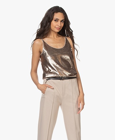 Drykorn Isalie Sequins Top - Taupe