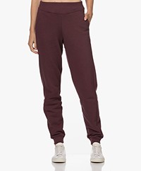 by-bar Devis Cotton French Terry Sweatpants - Aubergine
