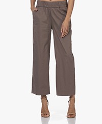 LaSalle Cotton Blend Pull-on Pants - Taupe