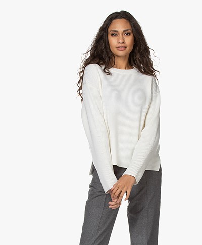 Drykorn Heleni Ribbed Wool Sweater - Papyrus
