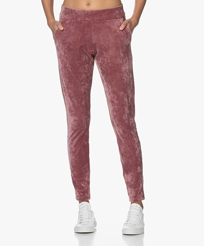 Woman by Earn Bobby Velvet Jersey Sweatpants - Dusty Pink