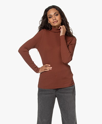 indi & cold Viscose Blend Ribbed Turtleneck Sweater - Caoba