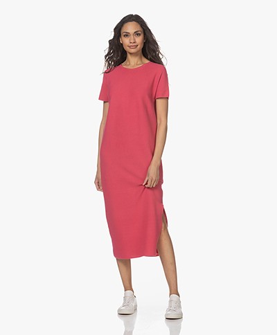 Drykorn Iloni Knitted Cotton Dress - Pink