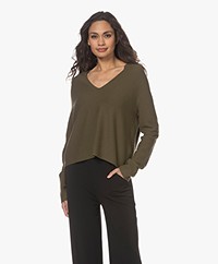 Drykorn Linnie V-neck BCI Cotton Blend Sweater - Green