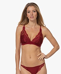 Calvin Klein Light Lined Triangle Lace Bra - Red Carpet