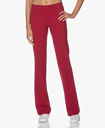 LaDress Siena Travel Jersey Flared Pants - Crimson