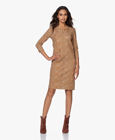 Kyra & Ko Gin Textured Jersey Print Dress - Gold Spice