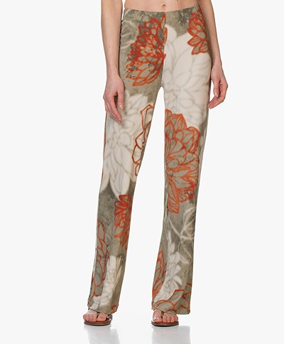 Kyra & Ko Alais Printed Crepe Jersey Pants - Khaki