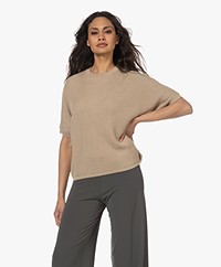 Sibin/Linnebjerg Lola Cotton Blend Short Sleeve Sweater - Sand