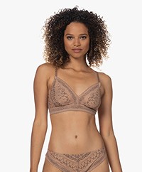 HANRO Lace Soft Bra with Snake Dessin - Animal Lace Biscotto