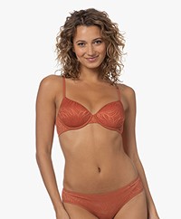 Calvin Klein Lightly Lined Demi Spacer Kant BH - Copper