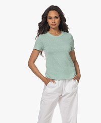 American Vintage Sonoma Katoenen Slub T-shirt - Vintage Dragonfly