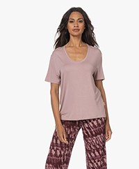 Calvin Klein Modal Jersey Scoop Neck T-shirt - Woodrose