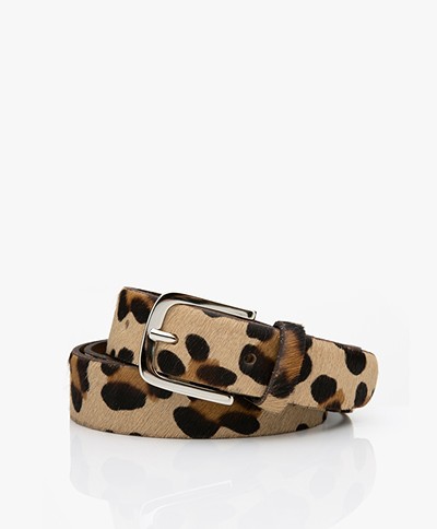 LaSalle Furry Leopard Print Belt - Brown/Black 