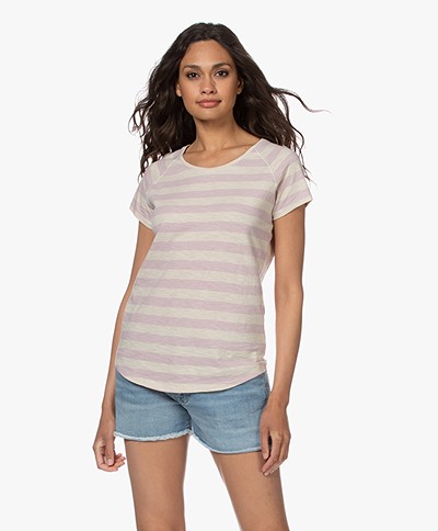 Closed Striped Raglan T-shirt - Icy Verbena