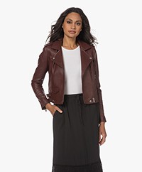 IRO Ashville Leren Bikerjack - Bordeaux