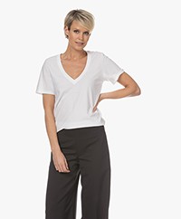 Neeve The Stella V-Hals T-shirt - Crispy White