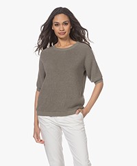Belluna Chili Cotton Mix Short Sleeve Sweater - Kaki