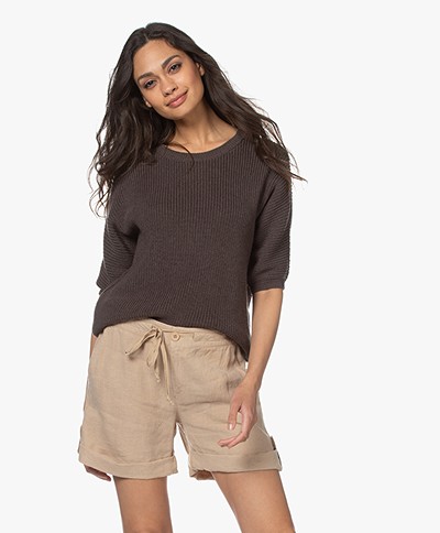 Belluna Chili Cotton Short Sleeve Sweater - Brown