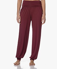 HANRO Modal Jersey Yoga Pants - Anemone