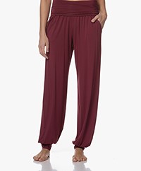 HANRO Modal Jersey Yoga Pants - Anemone