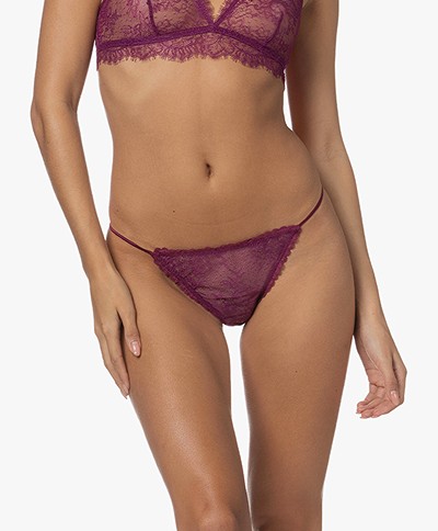 Love Stories Isabel Lace Tanga-style Briefs - Burgundy