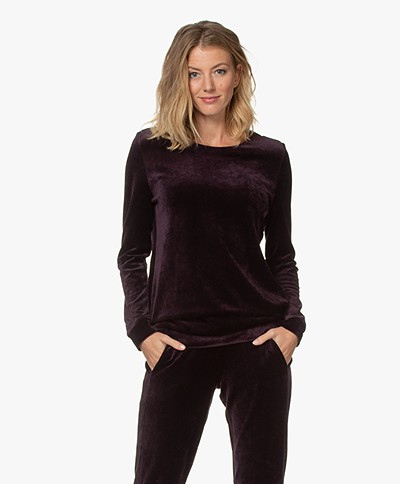 HANRO Favourites Velvet Sweatshirt - Alexandrite