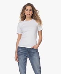 by-bar Jade Rib Knitted Cotton Top - Bright White