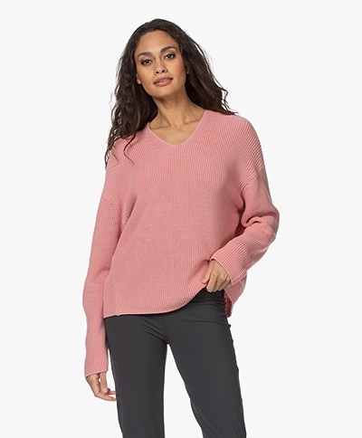 Drykorn Merina Fisherman's V-neck Sweater - Pink