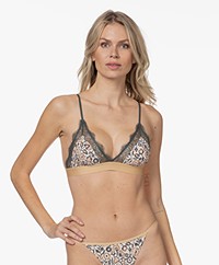 Love Stories Love Lace Bralette - Painted Flower