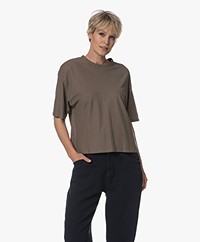 Drykorn Lilani Loose-fit T-shirt - Taupe