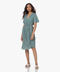 JapanTKY Krissie Travel Jersey Fit & Flare Dress - Sagebrush Green