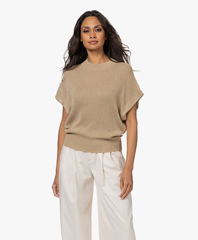Drykorn Amory Short Sleeve Lurex Sweater - Beige/Gold