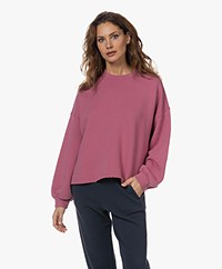 XÍRENA Honor Fleece Raw-Cut Sweatshirt - Pink Clover