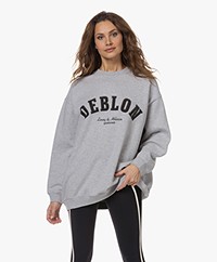 Deblon Sports Puck Oversized Logo Sweater - Grijs Mêlee