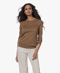 Repeat Sweater in Organic Cotton and Viscose - Mocca