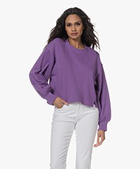 Repeat Cotton Sweatshirt - Violet