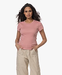 Drykorn Koale Ribbed Short Sleeve T-shirt - Terracotta