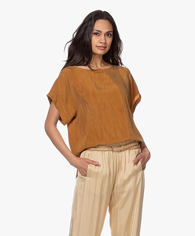 Drykorn Somia Cupro Blouse - Brown