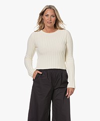 Filippa K Cropped Cotton Rib Sweater - Vanilla