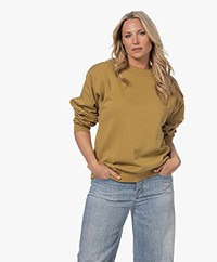 Róhe Oversized Sweatshirt - Dull Gold