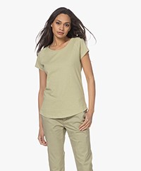 Closed Cotton Short Sleeve T-shirt - New Jade