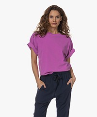 XÍRENA Palmer Cotton T-shirt - Purple Plum