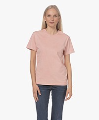 Closed Organic Cotton Text Embroidery T-shirt - Wild Rose