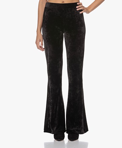 Woman by Earn Esmee Velvet Jersey Flaresd Pants - Black