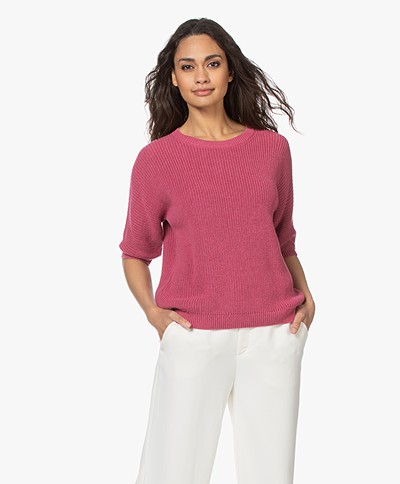 Belluna Chili Cotton Short Sleeve Sweater - Framboise