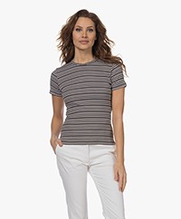Filippa K 93 Striped T-shirt - Dark Oak/White